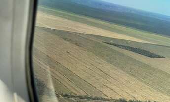 Imagem 2: FAZENDA DE SOJA EM BALSAS 44.000 HECTARES 17.000 COM PLANTIO