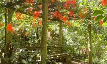 Imagem 5: Chácara fabulosa dentro de Goiânia 8000M² ótimo para investimento ou lazer