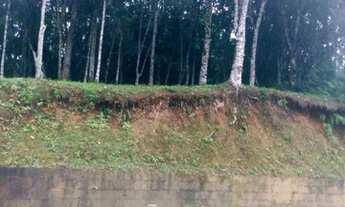 Imagem 3: Terreno Bairro Bandenfurt