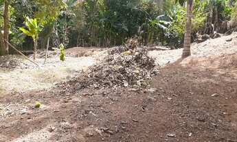 Imagem: Vendo chácara no forquilha 1,318 metros