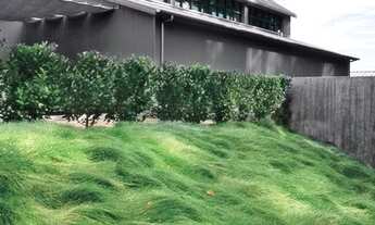 Imagem 7: Fazenda/Sítio/Chácara para venda possui 600 metros quadrados com 3 quartos fotos ilustrati