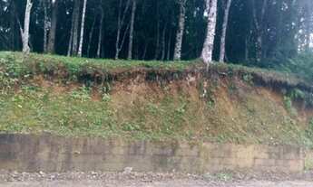 Imagem 4: Terreno Bairro Bandenfurt