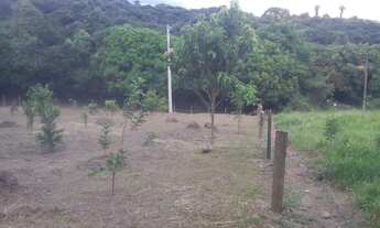 Imagem 3: Chácara 4.000m2 à venda em Piracema/MG