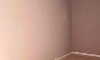 Imagem 7: Casa 2/4 Papagaio