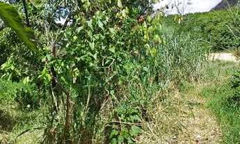 Imagem 4: Chácara com casa