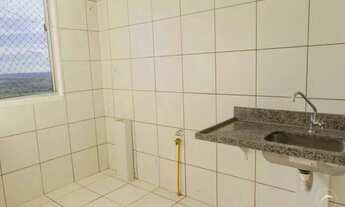 Imagem 4: Samambaia (Norte