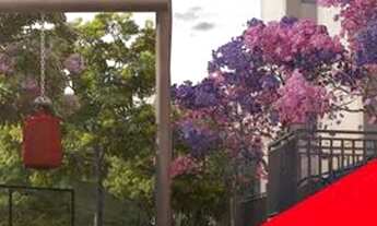 Imagem 2: Apartamento com entrada Facilitada || 2 quartos na Guabiraba