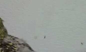 Imagem 3: Vendo Casa com aluguel por R$100 /mês