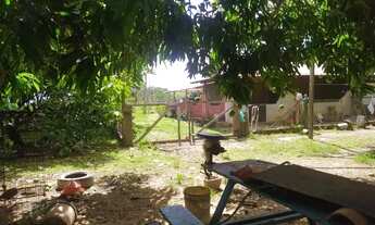 Imagem 2: CHÁCARA Á 20KM DE BOA VISTA BR174