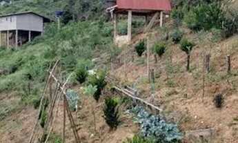 Imagem 3: Chalé Chácara com venda com preço sob consulta