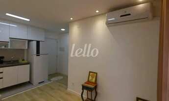 Imagem 4: São Paulo - Apartamento Padrão - Jabaquara