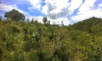 Imagem: Vendo sítio de 2 hectares