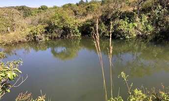 Imagem: Chacara 02 alqueires ao lado Nova Pecuária