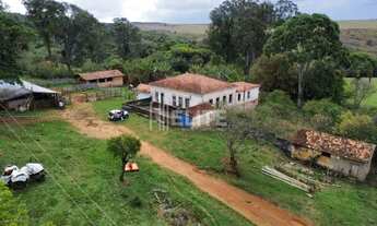 Imagem: 300 Hectares à Venda em Área de Plantio