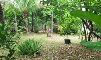 Imagem 5: Terreno com 2.000 m², no Itanhangá