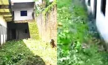 Imagem: VENDO KIT NETS BARATO