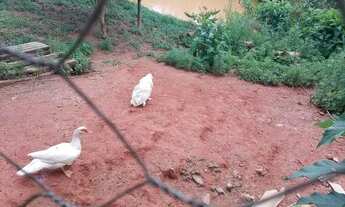 Imagem 5: Linda Chácara proximo a Juiz de Fora!!