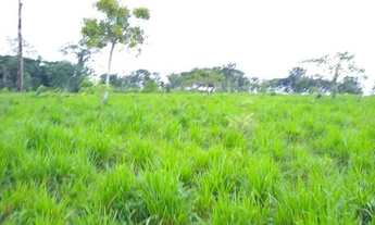 Imagem 2: Vendo fazenda Fazenda / sítio com venda por R$2.700.000