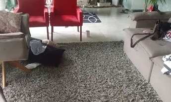 Imagem 6: Vendo casa em Cariacica Sede -ES