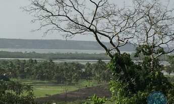 Imagem: TIBAU DO SUL - Terreno Padrão - Piau