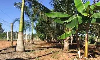 Imagem 5: Chácara em Nerópolis