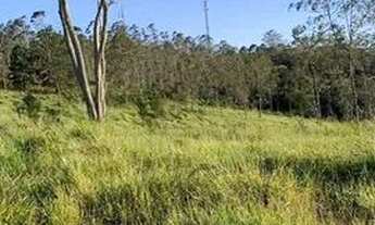 Imagem 6: Terreno com alta valoriação em Taiaçupeba