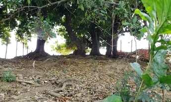 Imagem 3: Rancho Chácara com venda por R$120.000