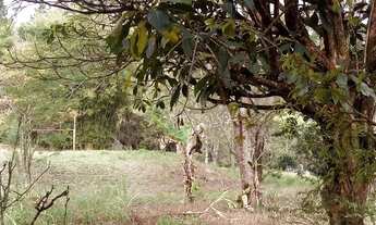 Imagem 2: Oportunidade terreno 5.000mts