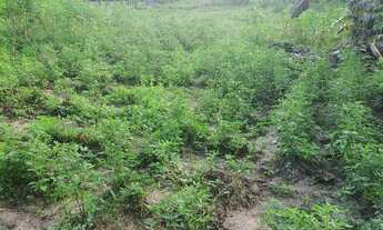 Imagem: Sítio em Rita cacete em São Cristóvão