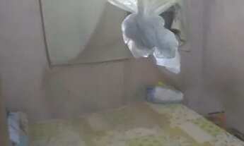 Imagem 5: Casa venda area verde