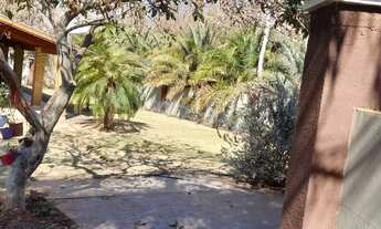 Imagem 4: Sitio de seringueira a venda em Floreal