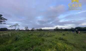 Imagem 6: Sítio de 8000me sem benfeitorias