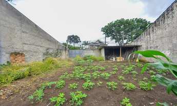 Imagem 5: Terreno murado e desocupado ZR4