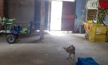 Imagem: Vendo casa urgente