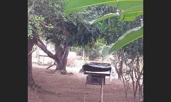 Imagem 5: Vendo uma chácara na taboquinha município de Padre Bernardo Goiás