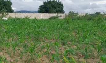 Imagem 3: 1 Tarefa de terra