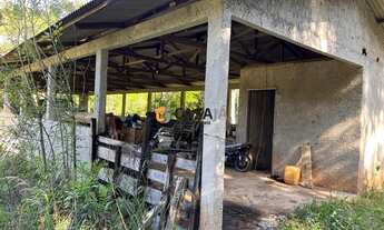 Imagem 7: CAMPO LARGO - Chácara - VILA DAVID ANTÔNIO