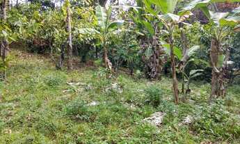 Imagem 3: Terreno a venda ( Savoia