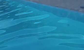 Imagem 4: Chácara a venda ou troca por casa