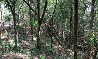 Imagem 3: Chácara 2.250m² em condomínio, chalé, fogão a lenha, córrego nos fundos e cisterna