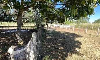 Imagem 2: Fazenda Próxima Rosário Oeste MT 64 hectares