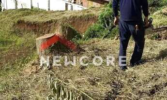 Imagem 7: Lote em Estrada da Várzea - varzea - Gramado/RS