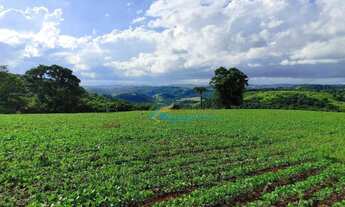 Imagem 3: Sítio à venda, 9 alqueires por R$ 1.400.000 - Linha Santana - Catanduvas/PR