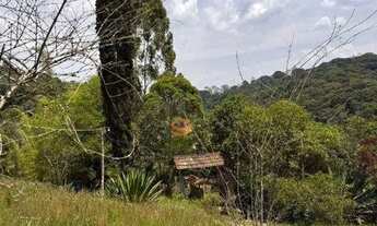 Imagem 7: Chácara com 4 dormitórios à venda, 16000 m² por R$ 850.000 - Estância Piratininga - Suzano