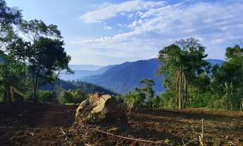 Imagem 3: Sítio / Chácara para Venda em Nova Petrópolis, Arroio Paixão