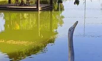 Imagem 3: Chácara de 03 alqueires em Bela vista-GO