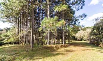 Imagem 7: Chácara 20.400m² - Campo Largo da Roseira em SJP