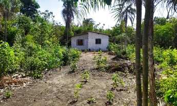 Imagem 6: Sitio povoado santa luz