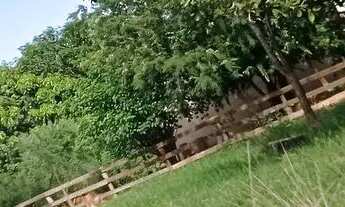 Imagem 4: Fazenda com 28 alqueires documentada casa pastos água terra cultura troca