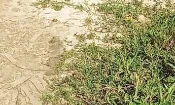 Imagem 2: Venda de terreno